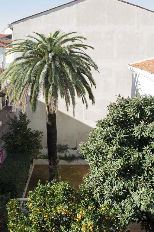 Appartement Cannes Rue Marceau ห้อง รูปภาพ